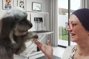 Varios Sin datos  PASEOS CANINOS